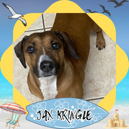 Jax Kringle