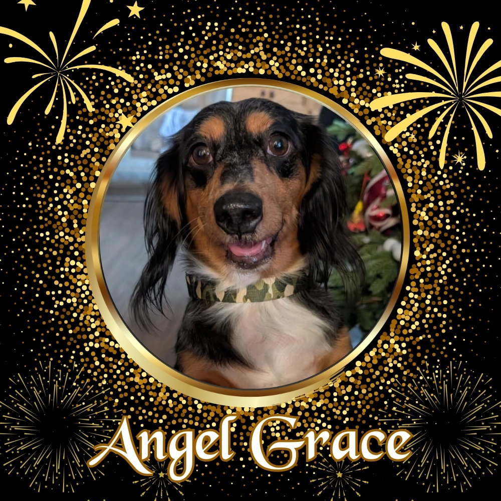 Angel Grace