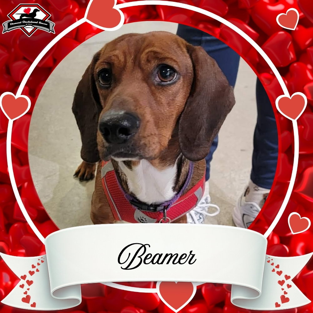 Beamer Image