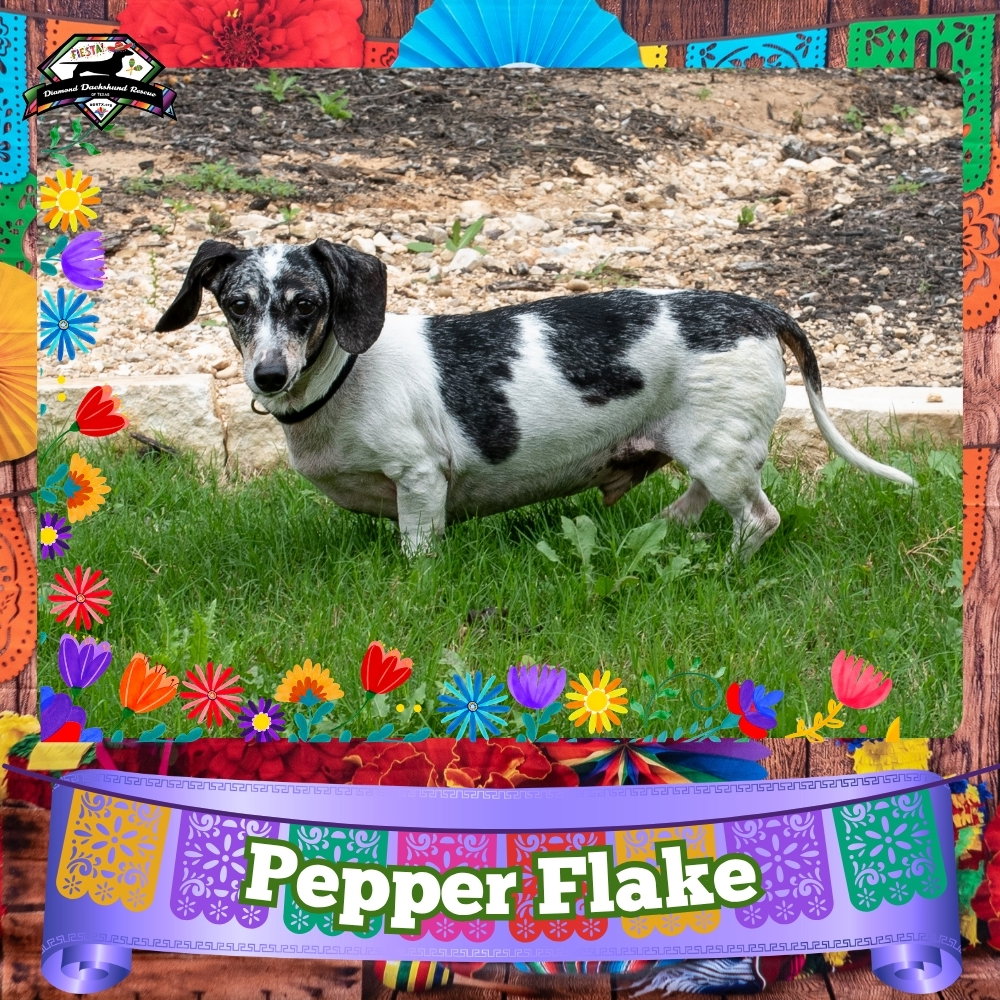 Pepper Flake