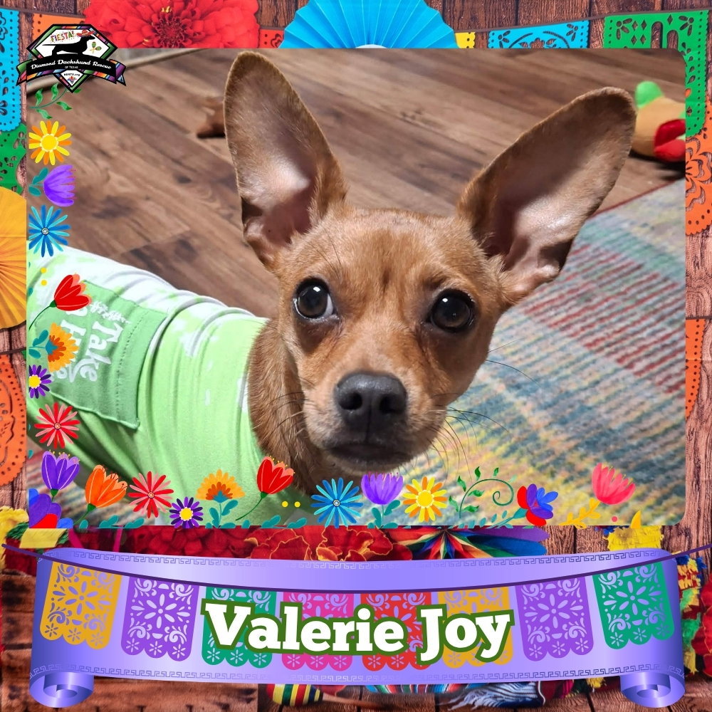 Valerie Joy