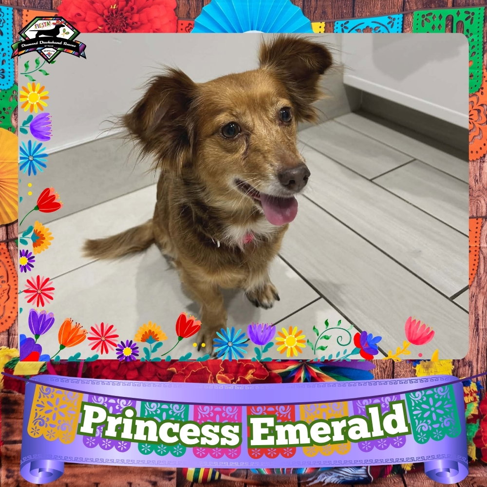 Princess Emerald