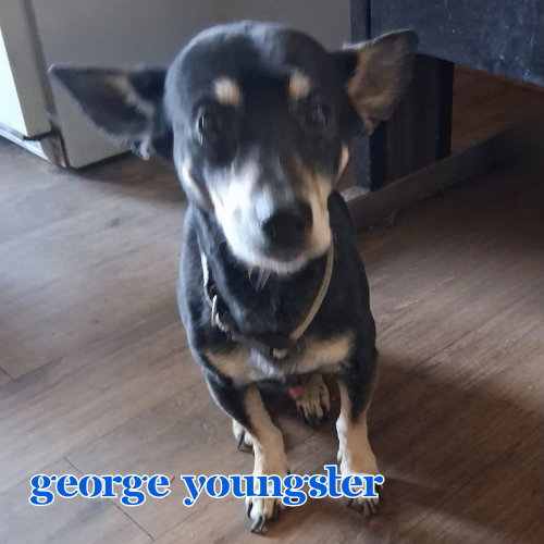 George Youngster, photo 11