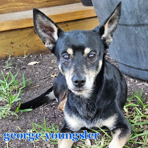 George Youngster, photo 12