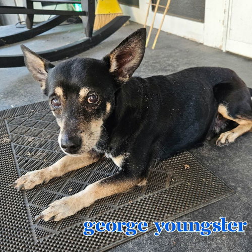 George Youngster, photo 10