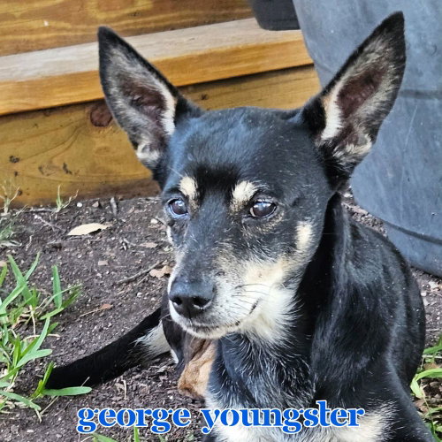 George Youngster, photo 13