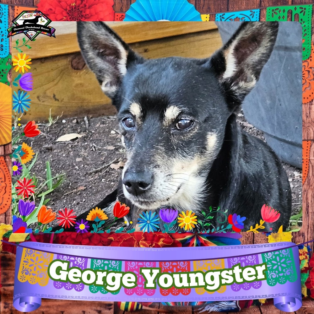 George Youngster