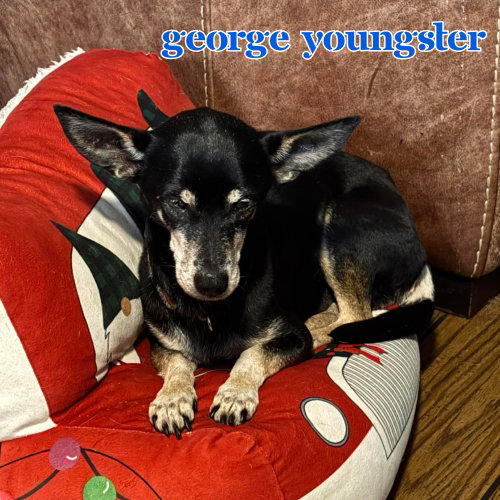 George Youngster, photo 7