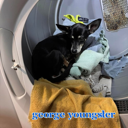 George Youngster, photo 9