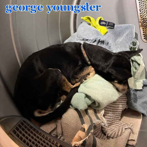 George Youngster, photo 14