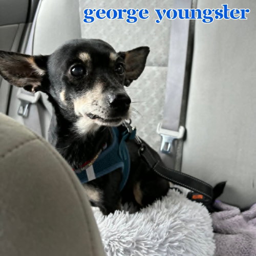 George Youngster, photo 8