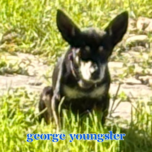 George Youngster, photo 15