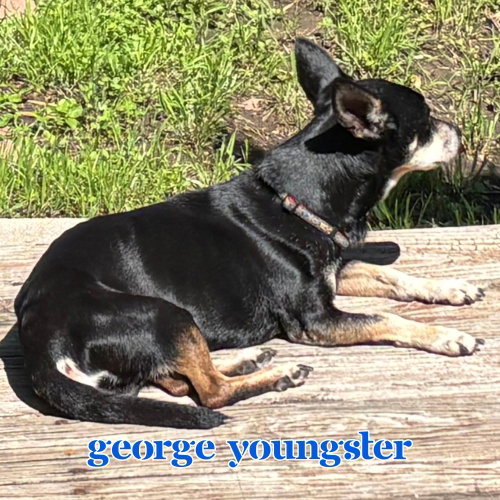 George Youngster, photo 16