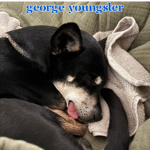George Youngster, photo 17