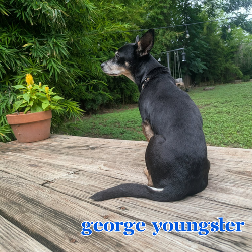 George Youngster, photo 18