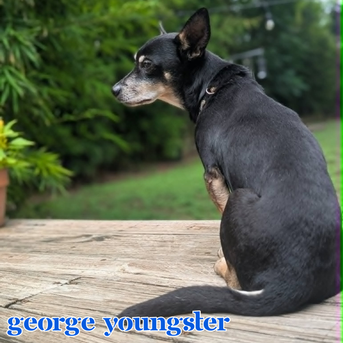 George Youngster, photo 19