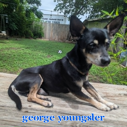 George Youngster, photo 20