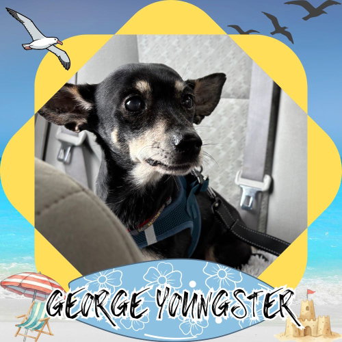 George Youngster