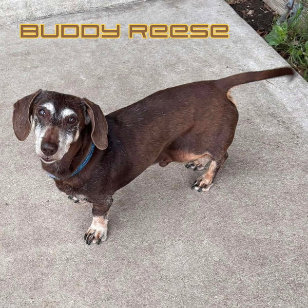 Buddy Reese