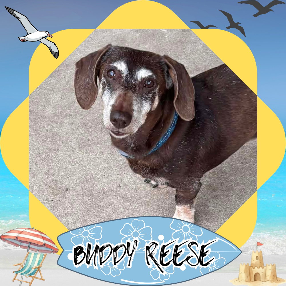 Buddy Reese