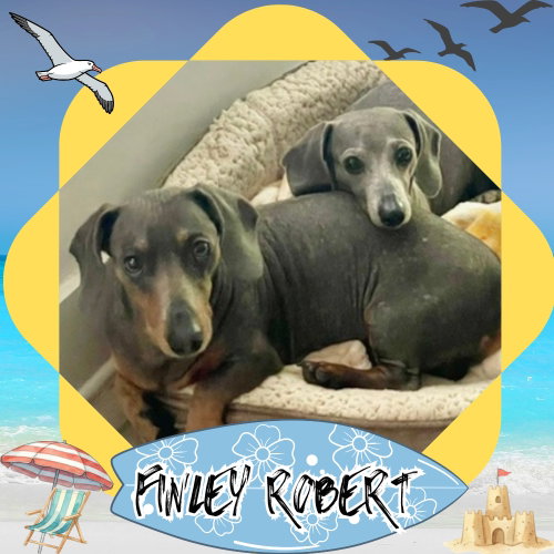 Finley Robert