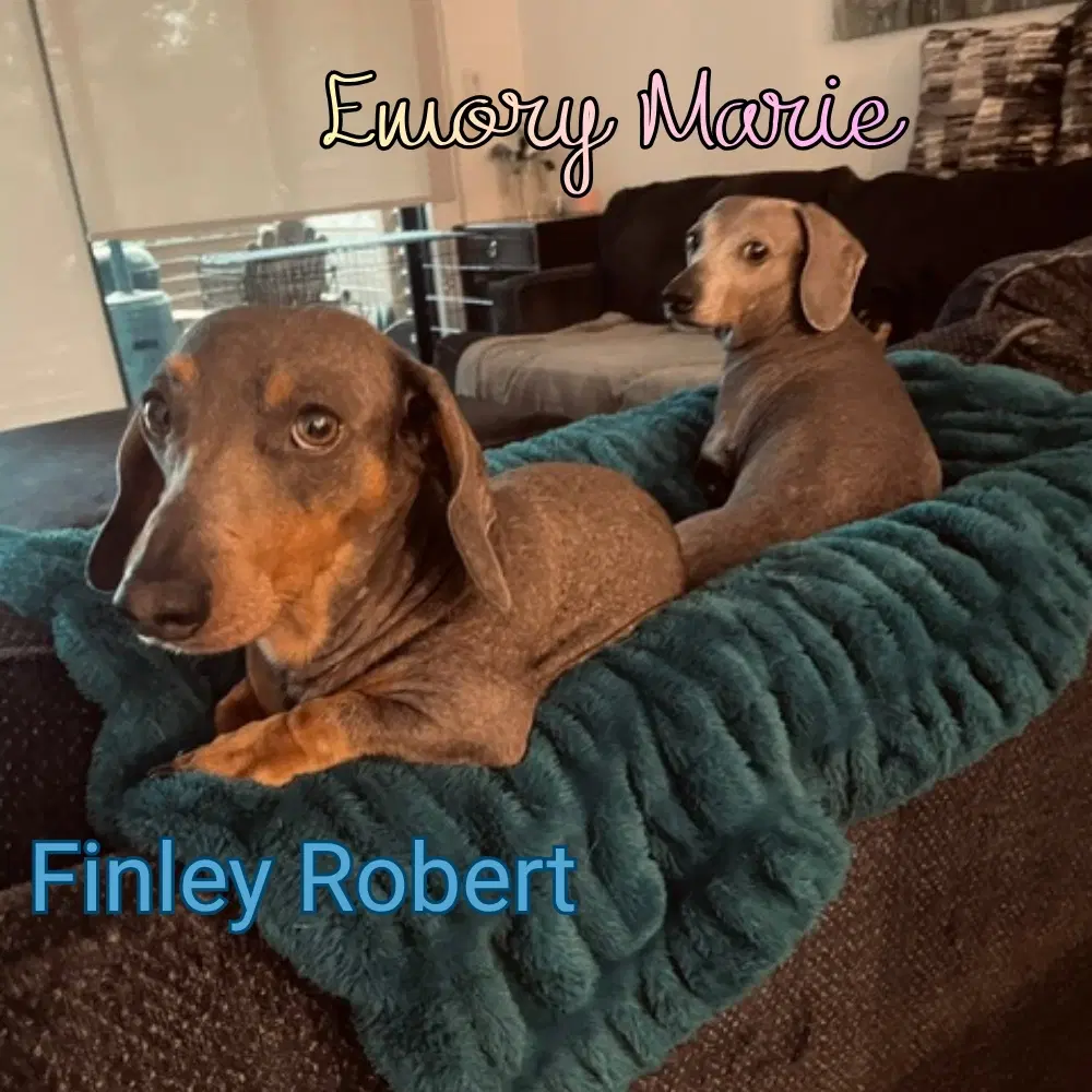 Finley Robert image 2