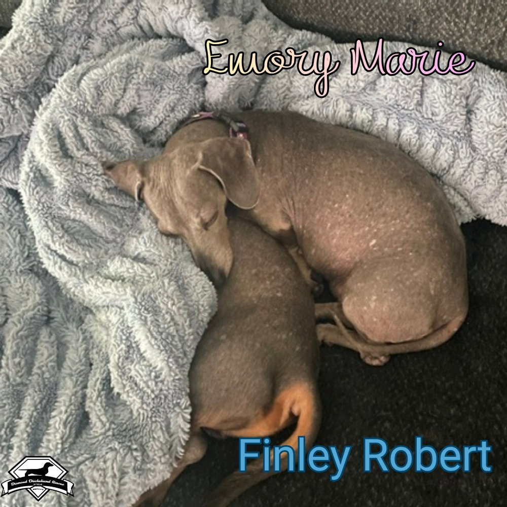 Finley Robert+, photo 19