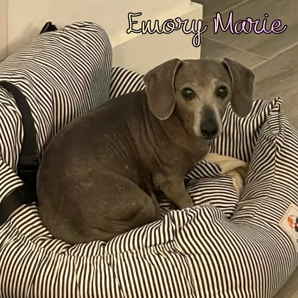 Emory Marie image 3