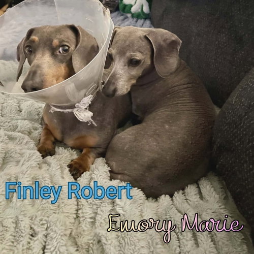 Emory Marie photo 5