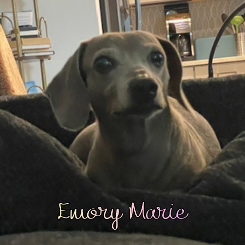 Emory Marie photo 6