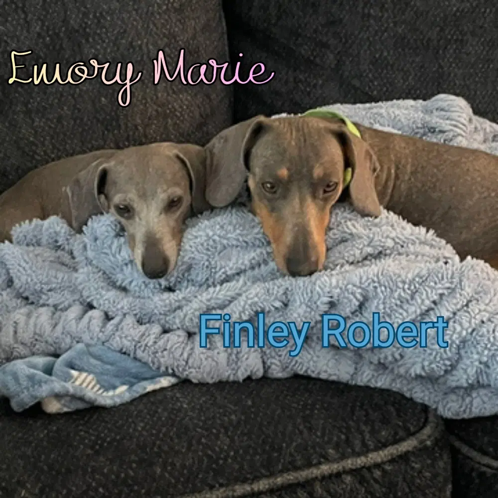 Emory Marie image 2