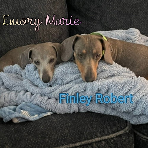 Emory Marie photo 2