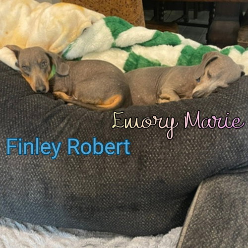 Emory Marie+, photo 9