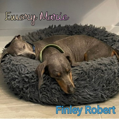 Emory Marie+, photo 10
