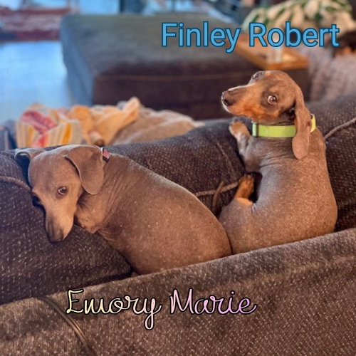 Emory Marie photo 4