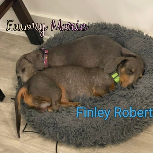 Emory Marie+, photo 13