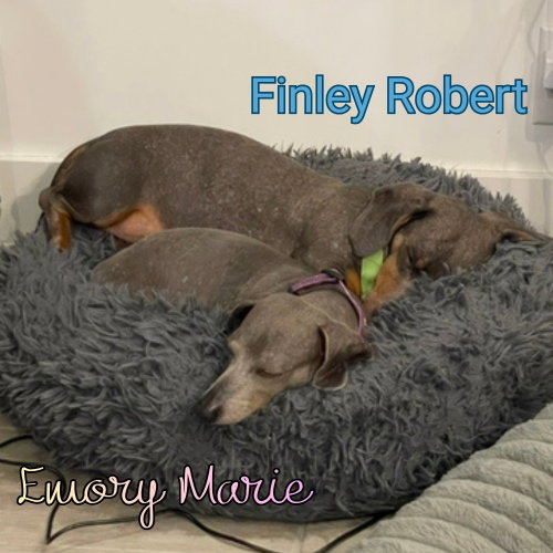 Emory Marie+, photo 16