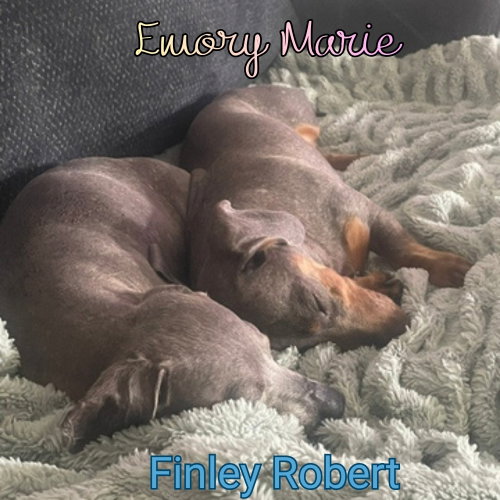 Emory Marie+, photo 18