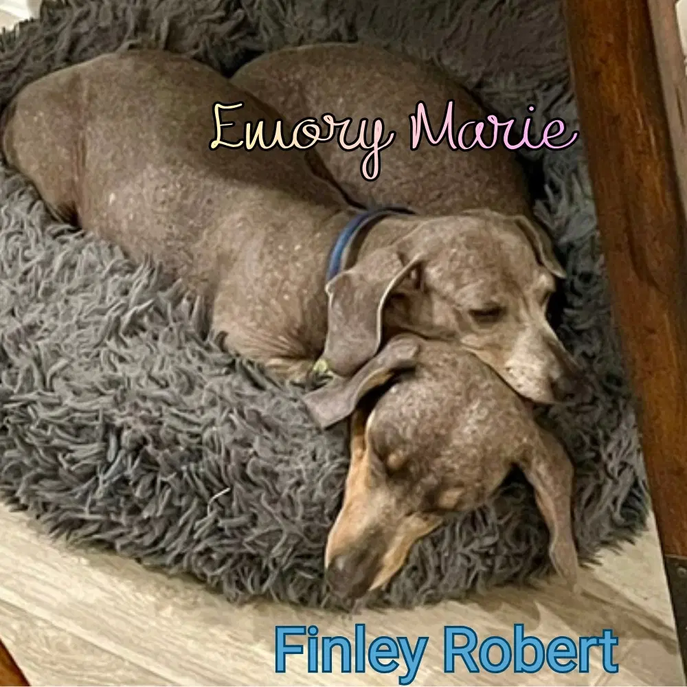 Emory Marie image 4