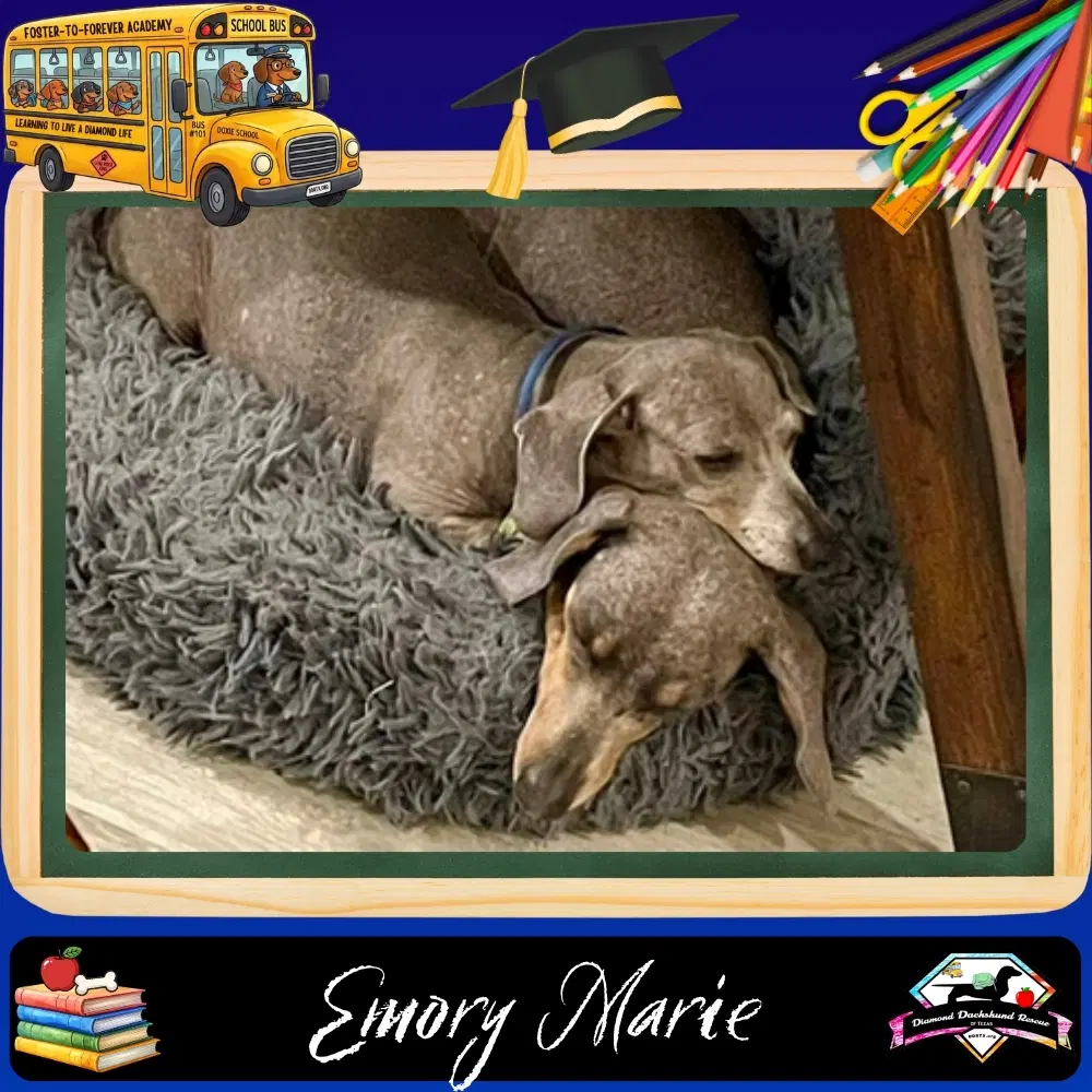 Emory Marie image 1