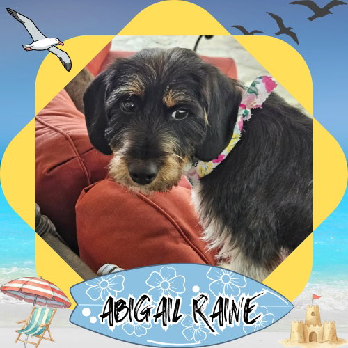 Abigail Raine