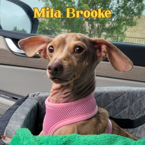 Mila Brooke