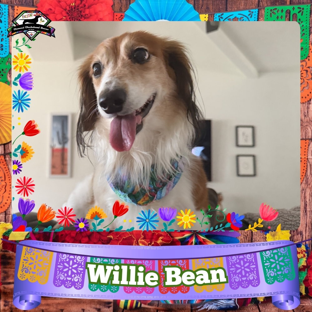 Willie Bean