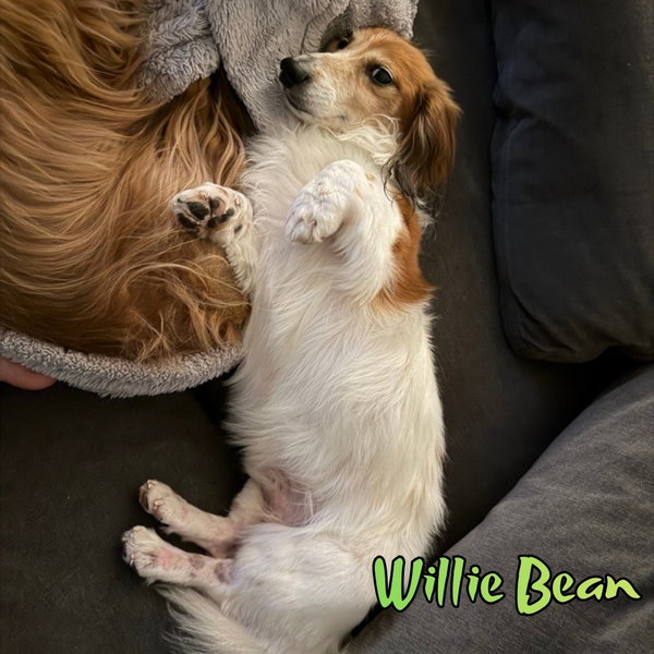 Willie Bean