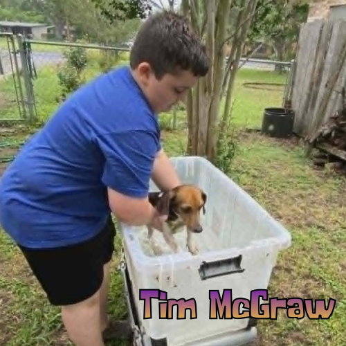 Tim Mcgraw photo 14