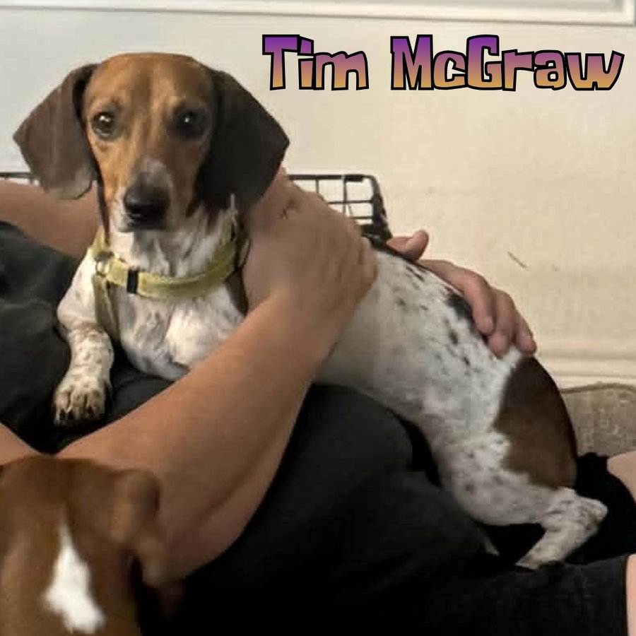 Tim McGraw