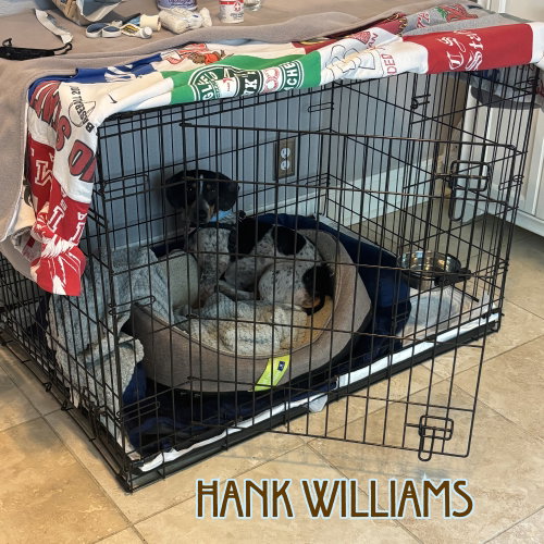 Hank Williams photo 17