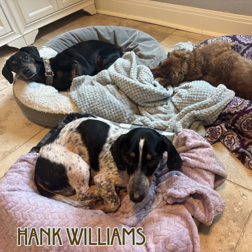 Hank Williams photo 20