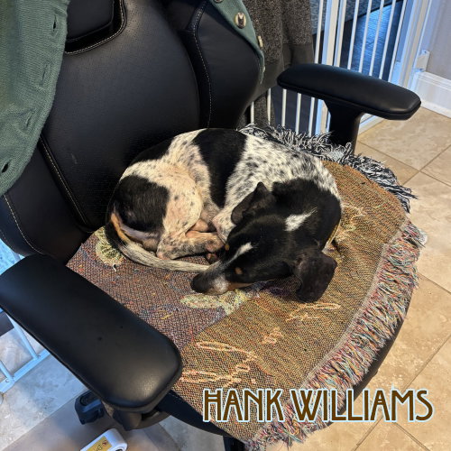 Hank Williams photo 21