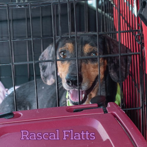 Rascal Flatts photo 4